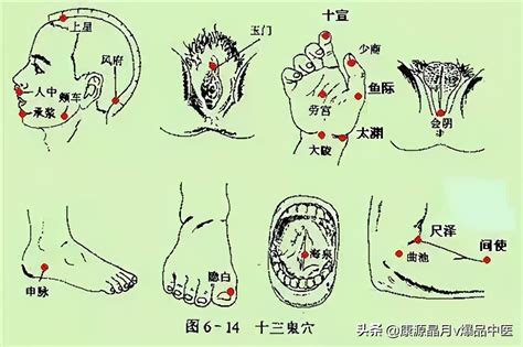 十三鬼穴位置|你知道针灸中的“十三鬼穴”吗？图解给你全面解析！